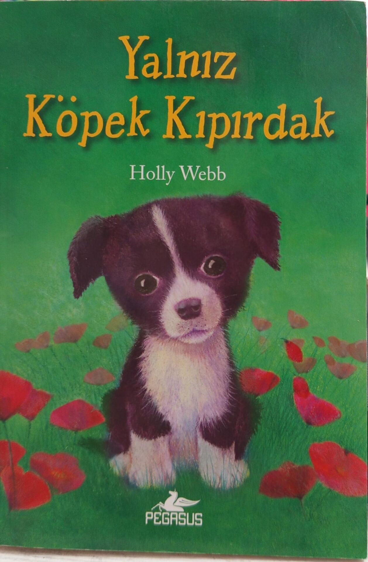 Yalnız Köpek Kıpırdak - Holly Webb