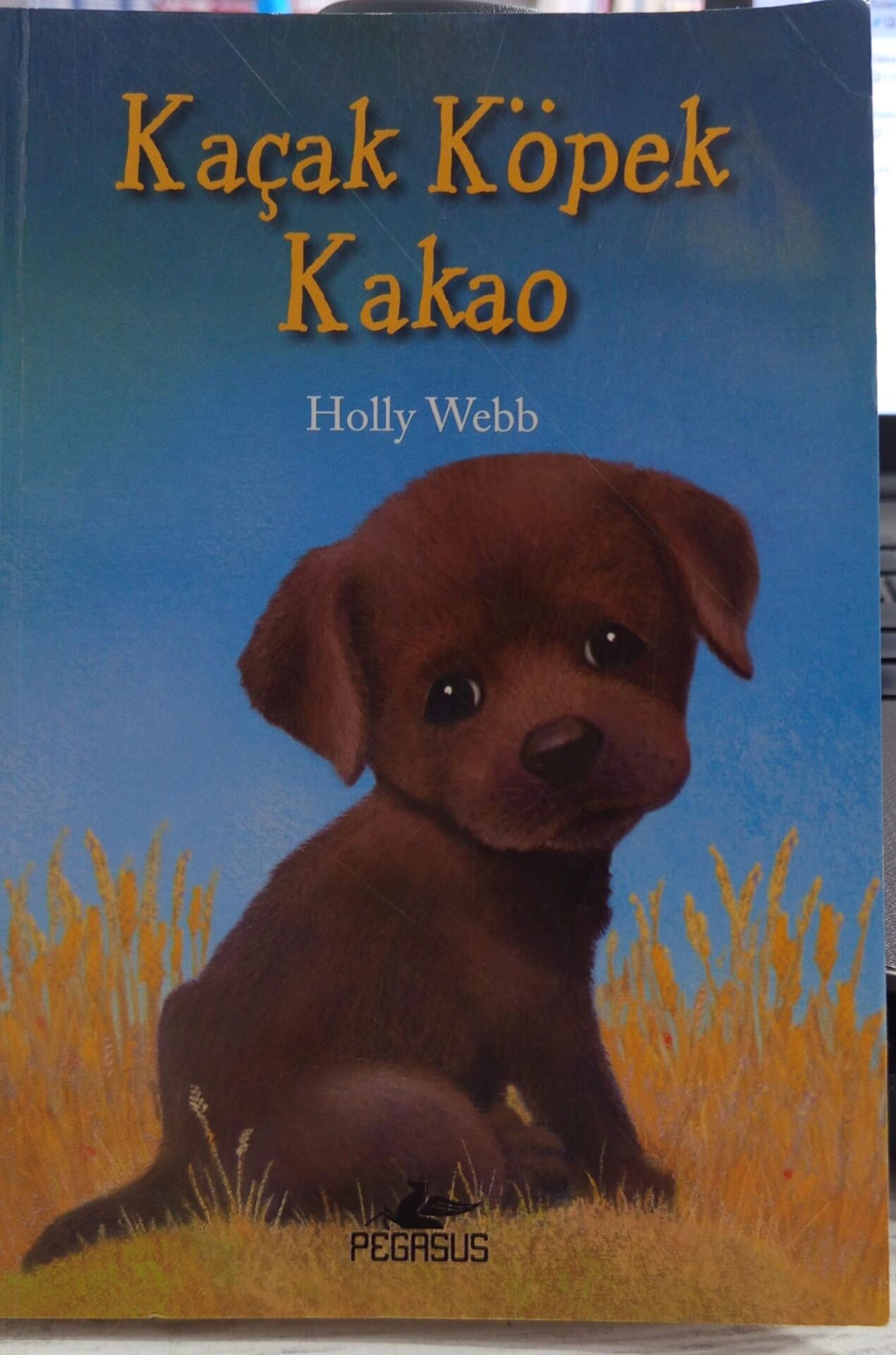 Kaçak Köpek Kakao - Holly Webb
