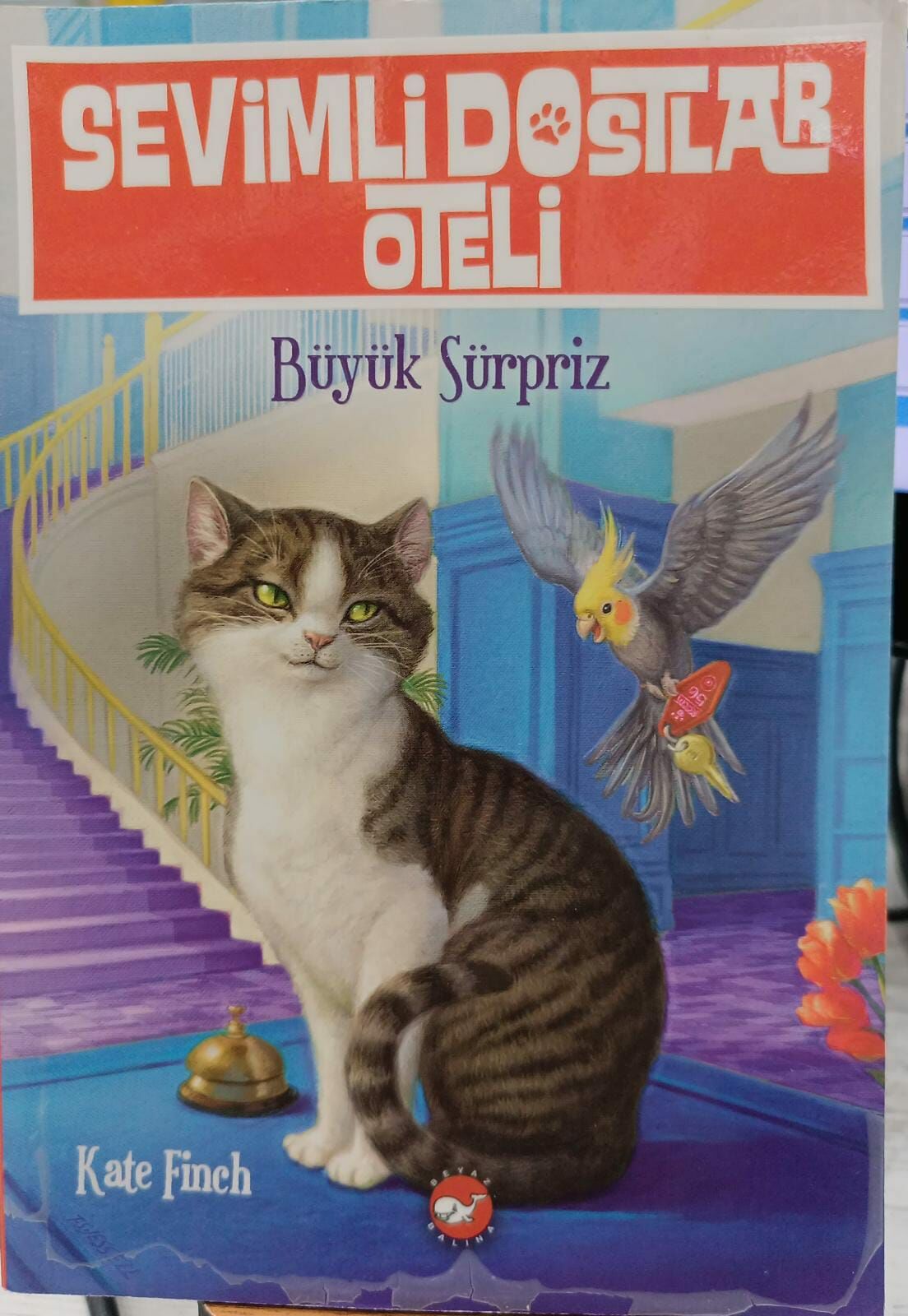 SEVİMLİ DOSTLAR OTELİ - BÜYÜK SÜRPRİZ