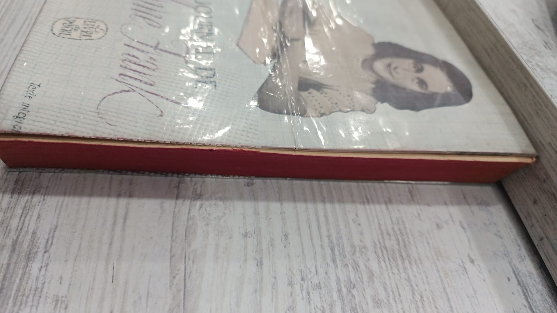 Journal De Anne Frank - Fransızca