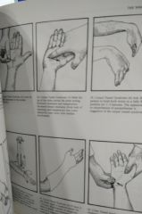 Clinical orthopaedic examination / 2.EL
