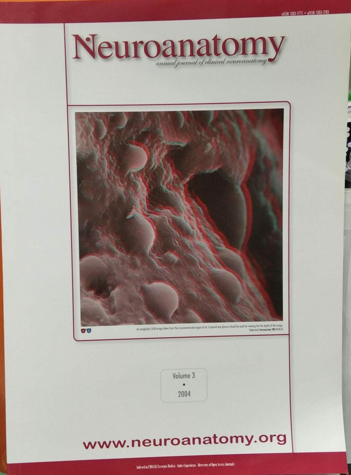 Neuroanatomy - 2.EL