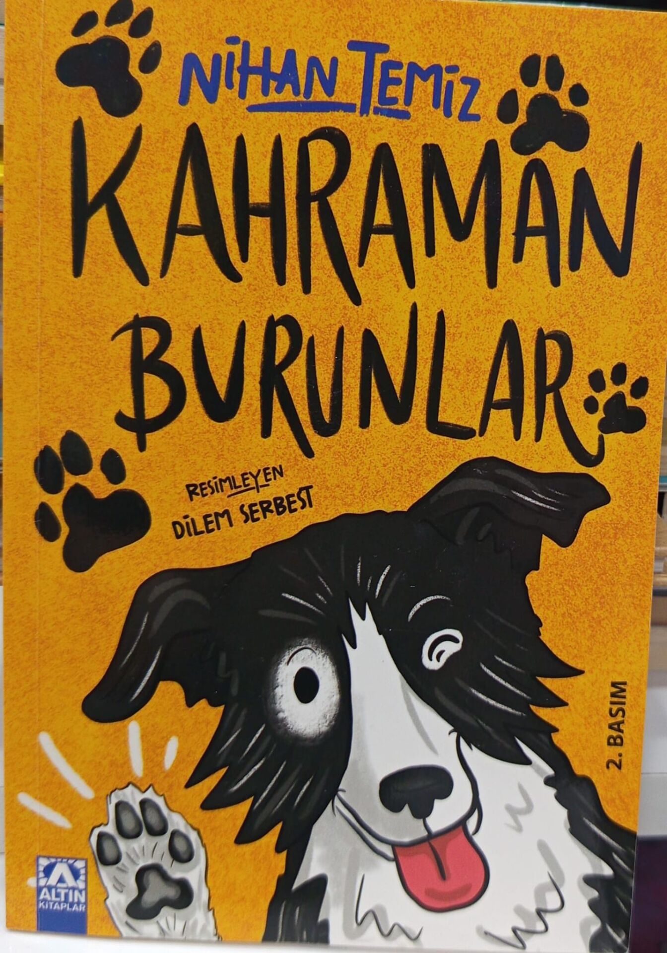 Kahraman Burunlar - Nihan Temiz