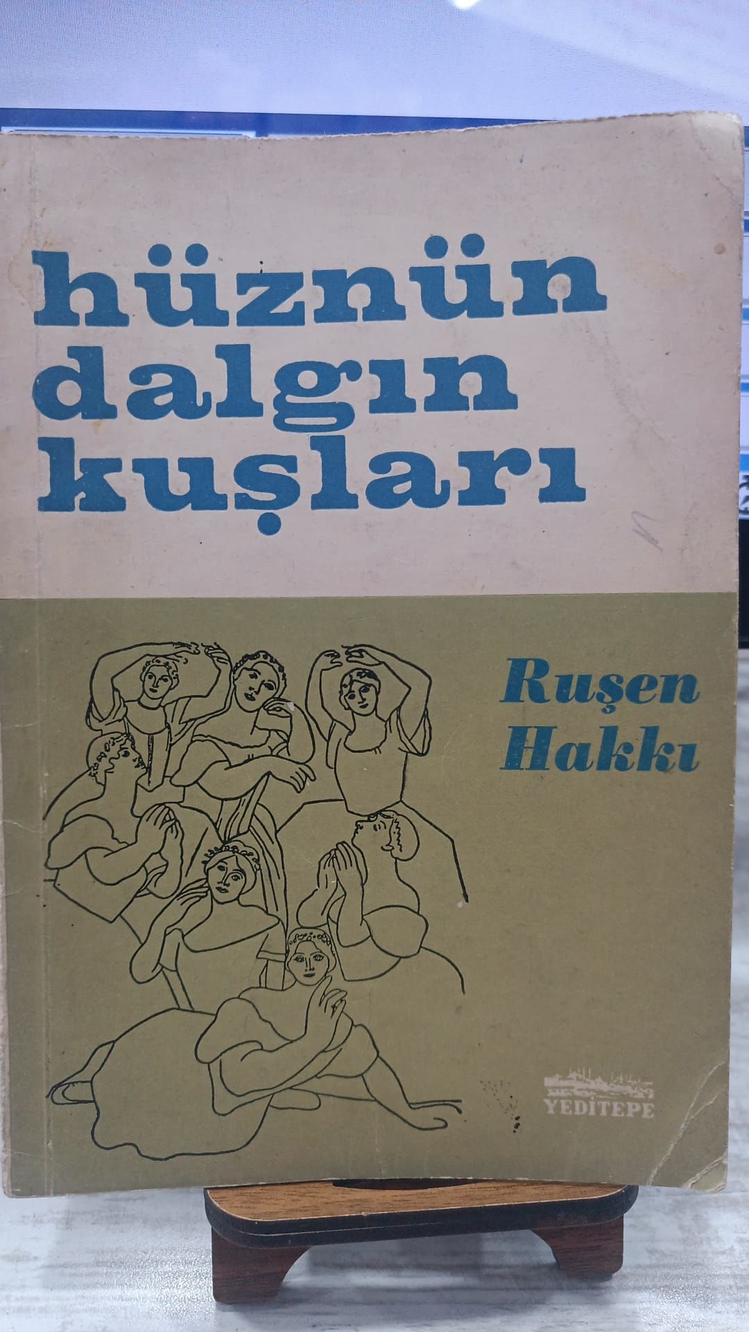 Hüznün Dalgın Kuşları - Ruşen Kakkı