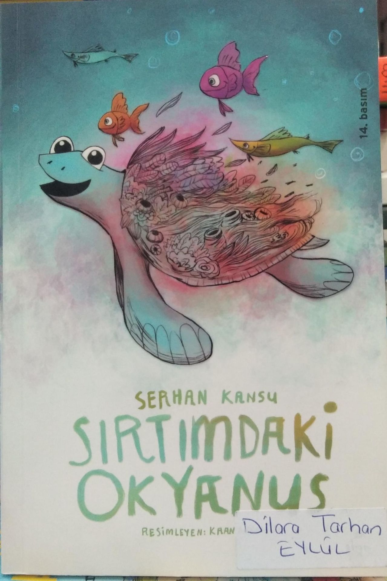 Sırtımdaki Okyanus - Serhan Kansu