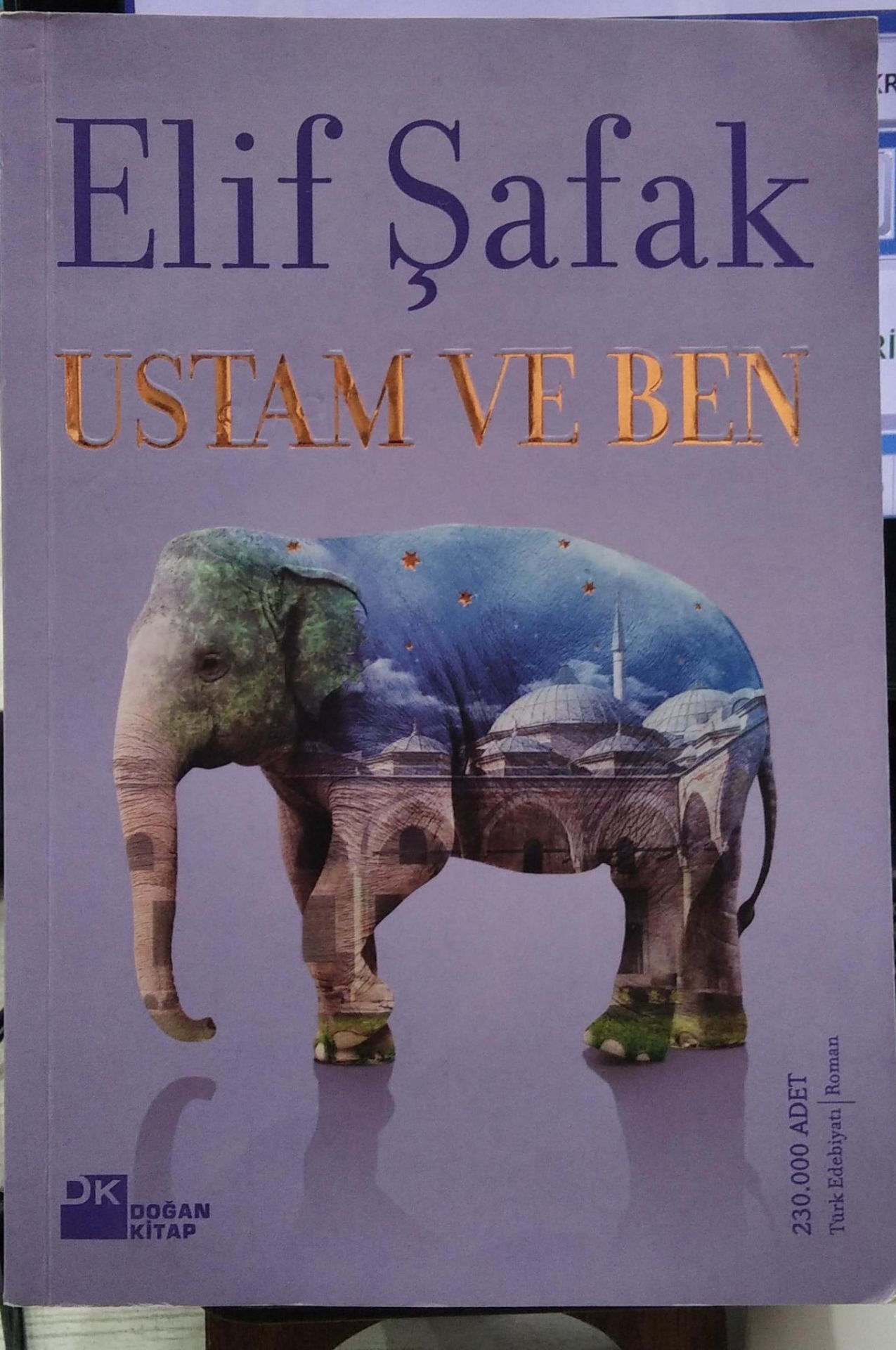Ustam ve Ben - Elif Şafak