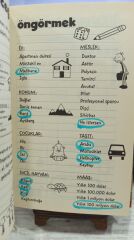 Saftirik Greg'in Günlüğü - Kendin Yap Kitabı / Jeff Kinney