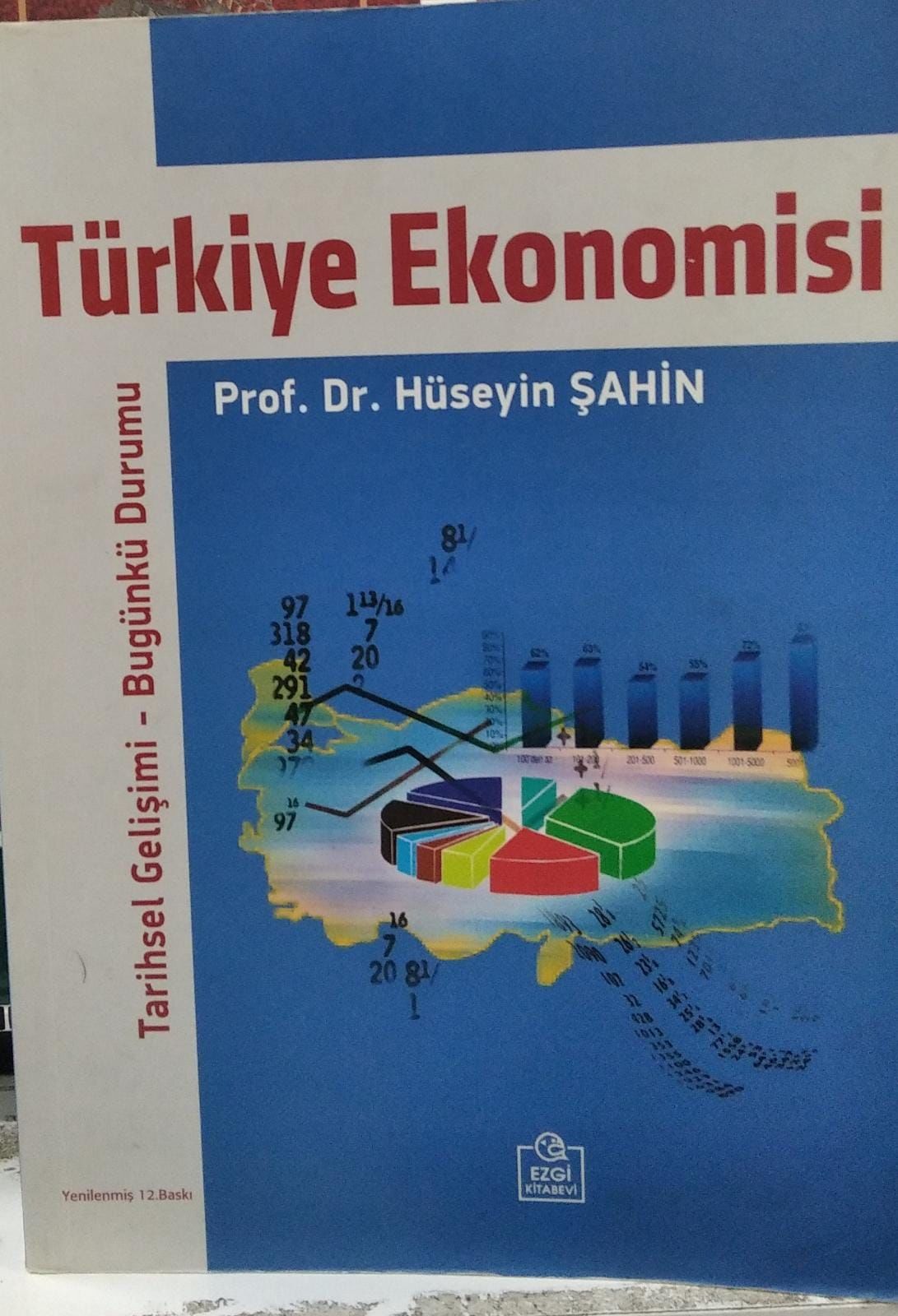 TÜRKİYE EKONOMİSİ -  HÜSEYİN ŞAHİN