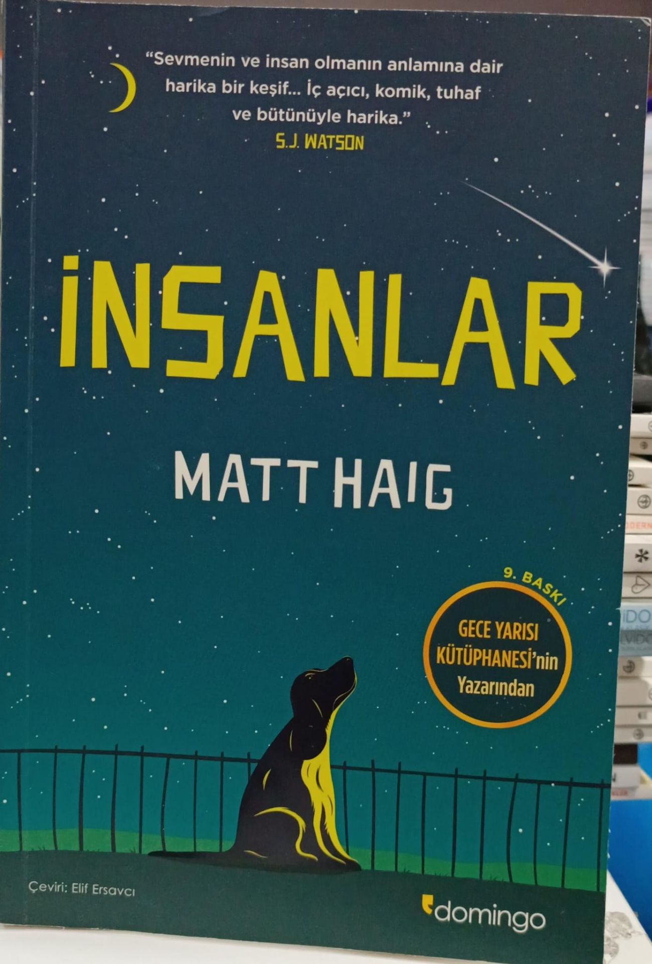 İnsanlar - Matt Haig