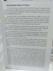 Farklı Gelişen Çocuklar