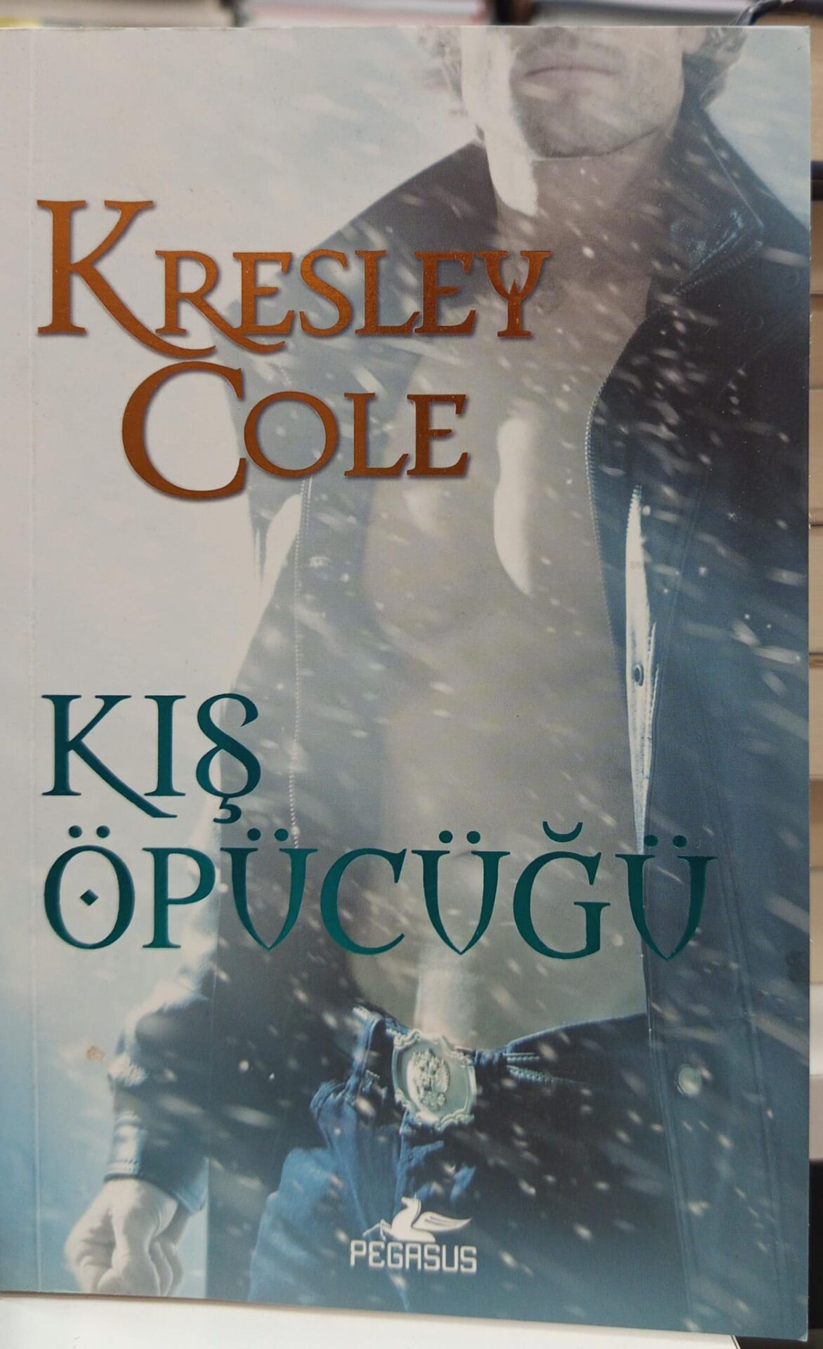 Kış Öpücüğü - Kresley Cole