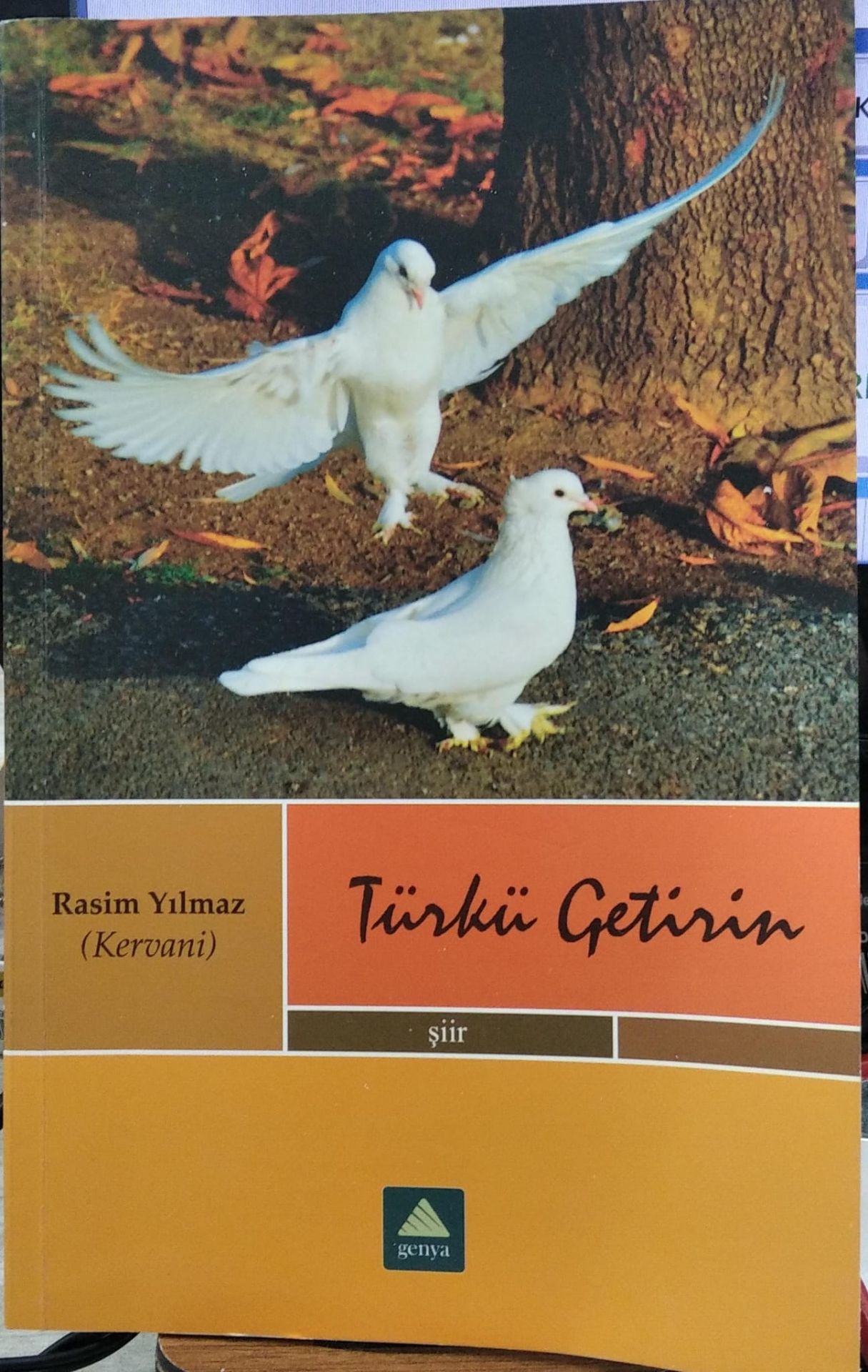 TÜRKÜ GETİRİN - RASİM YILMAZ