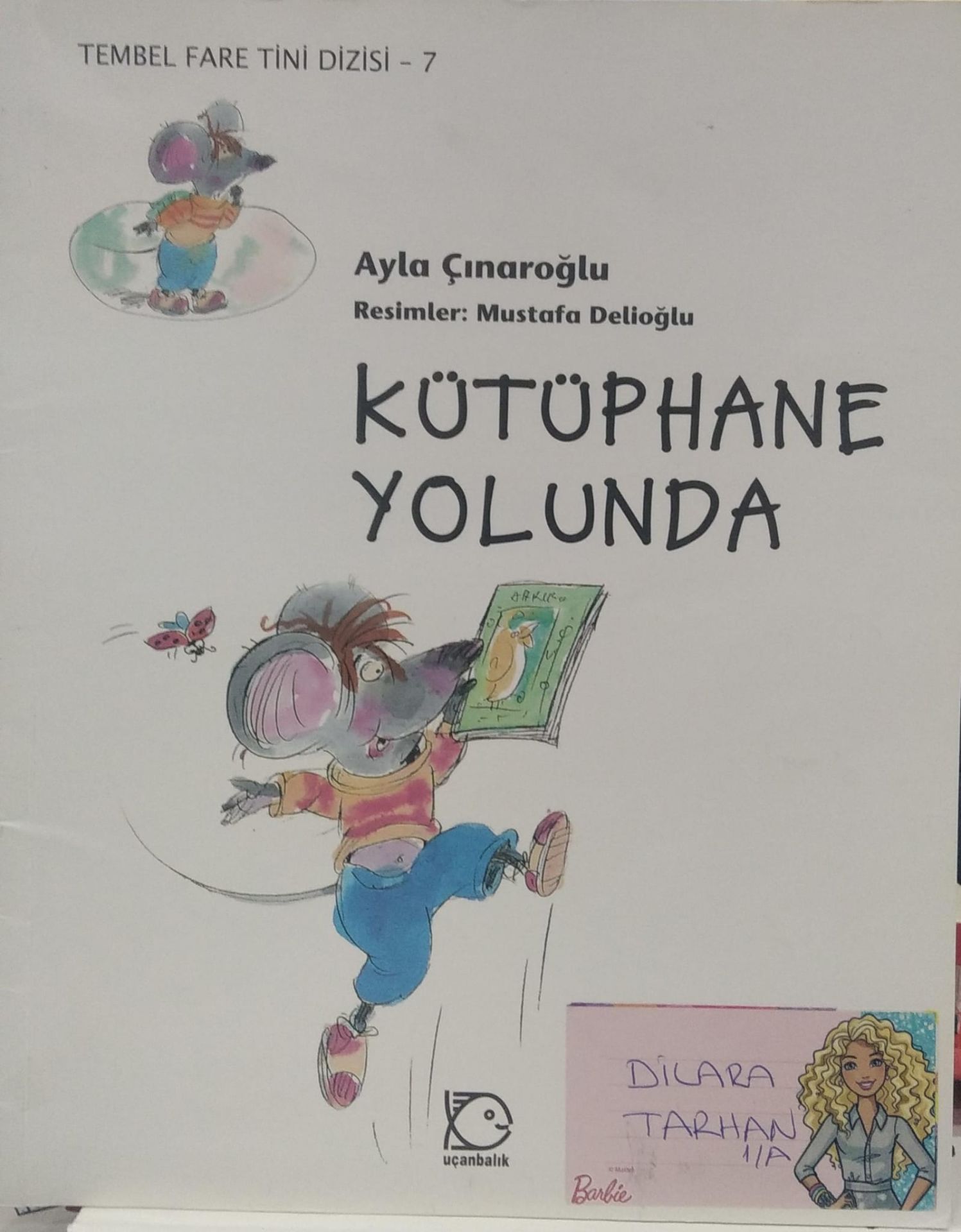 Kütüphane Yolunda - Ayla Çınaroğlu