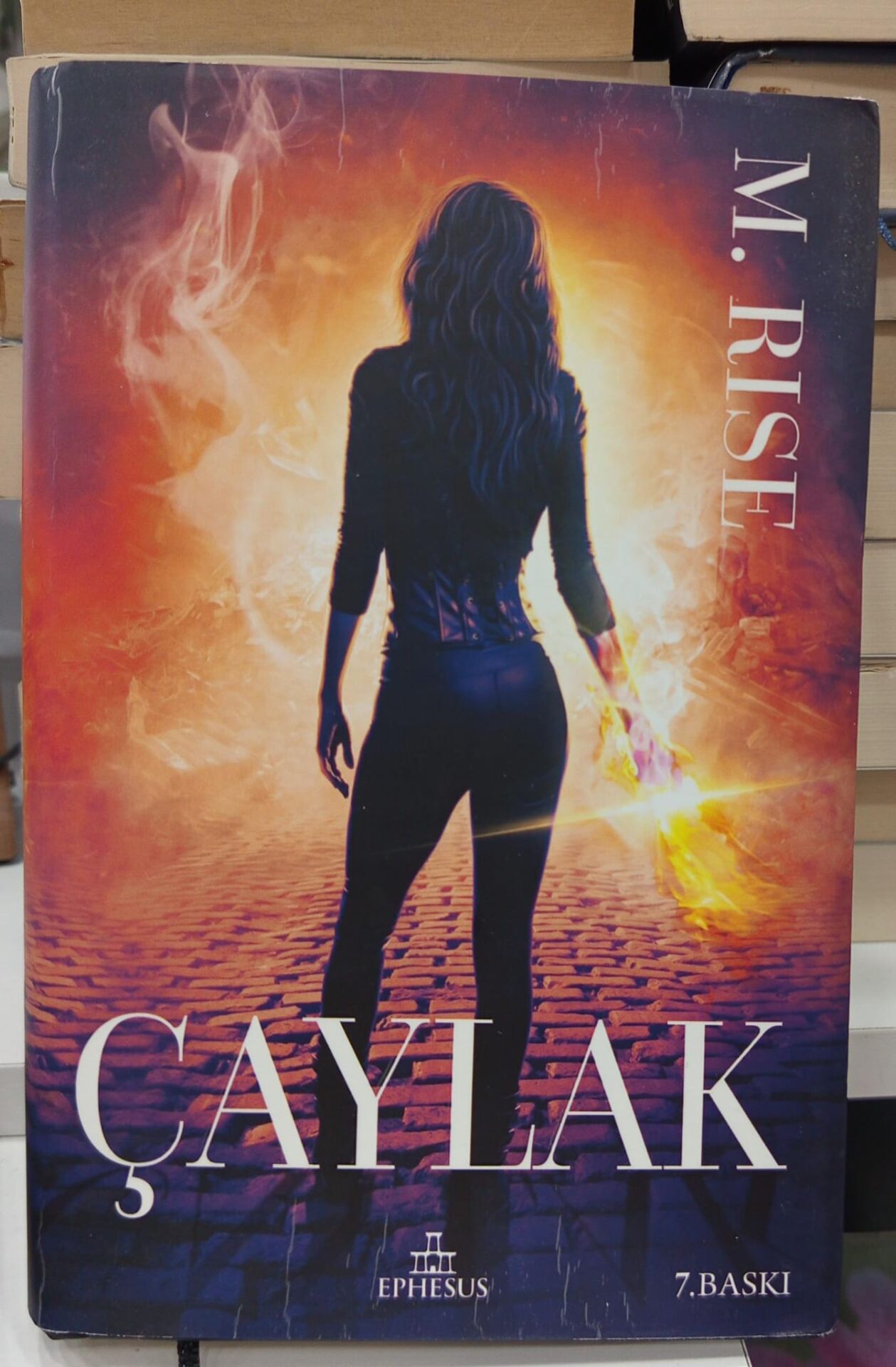 Çaylak (Ciltli) - M. Rise