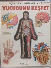 İçindeki Sırlarıyla Vücudunu Keşfet - Luann Colombo