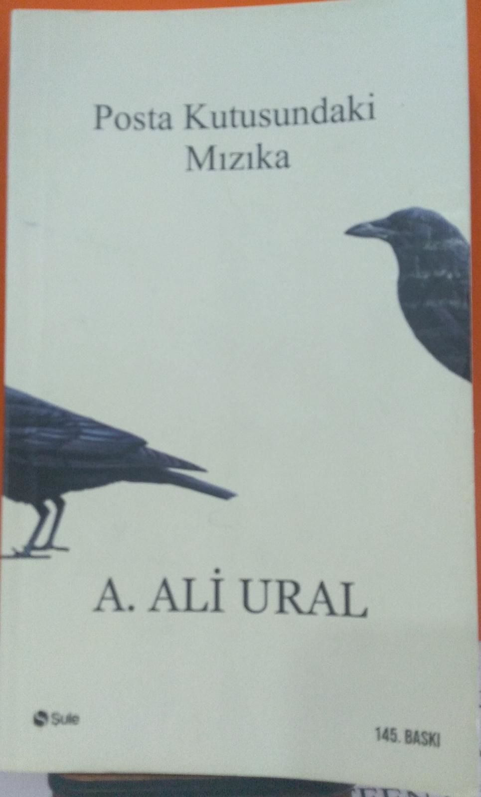 Posta Kutusundaki Mızıka