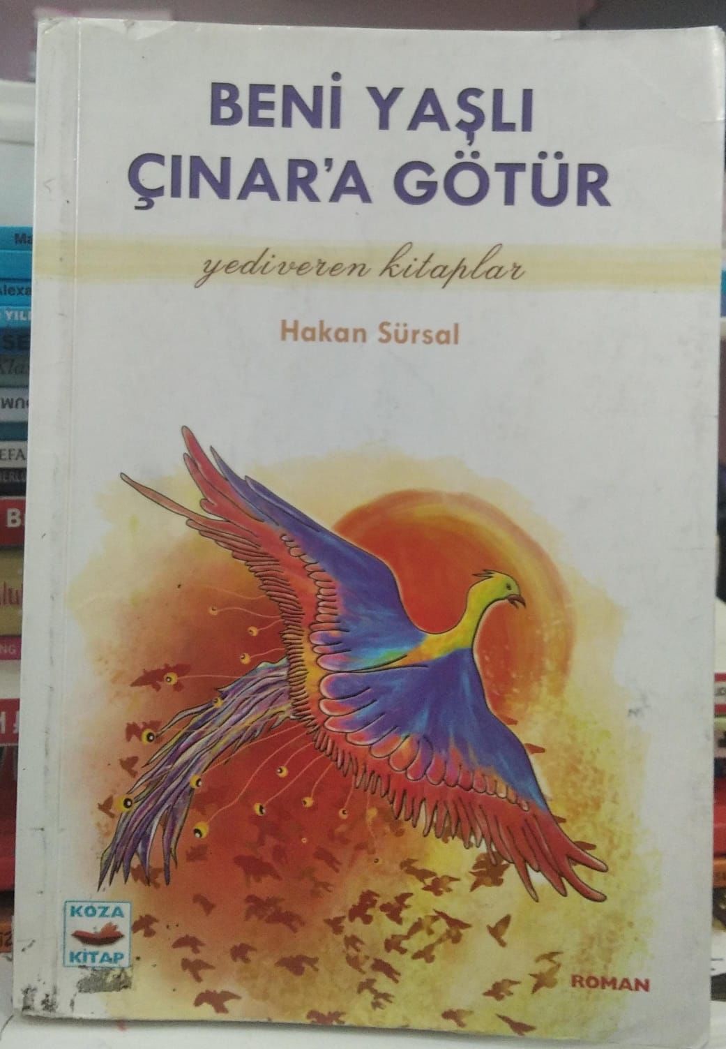 Beni Yaşlı Çınar’a Götür - Hakan Sürsal