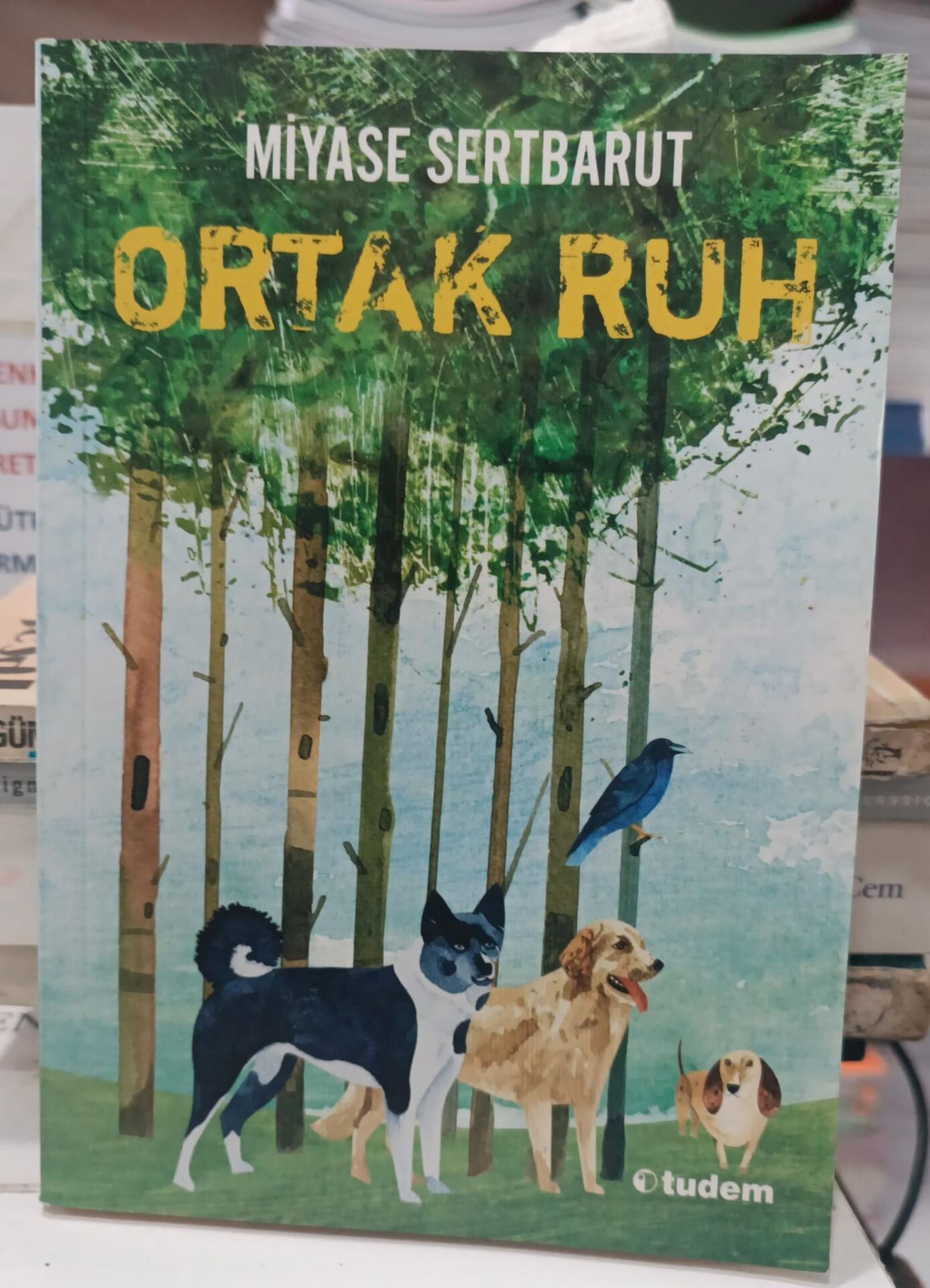 Ortak Ruh ( Sisin Sakladıkları 2) - Miyase Sertbarut