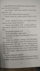 Küçük Kara Balık - Samed Behrengi