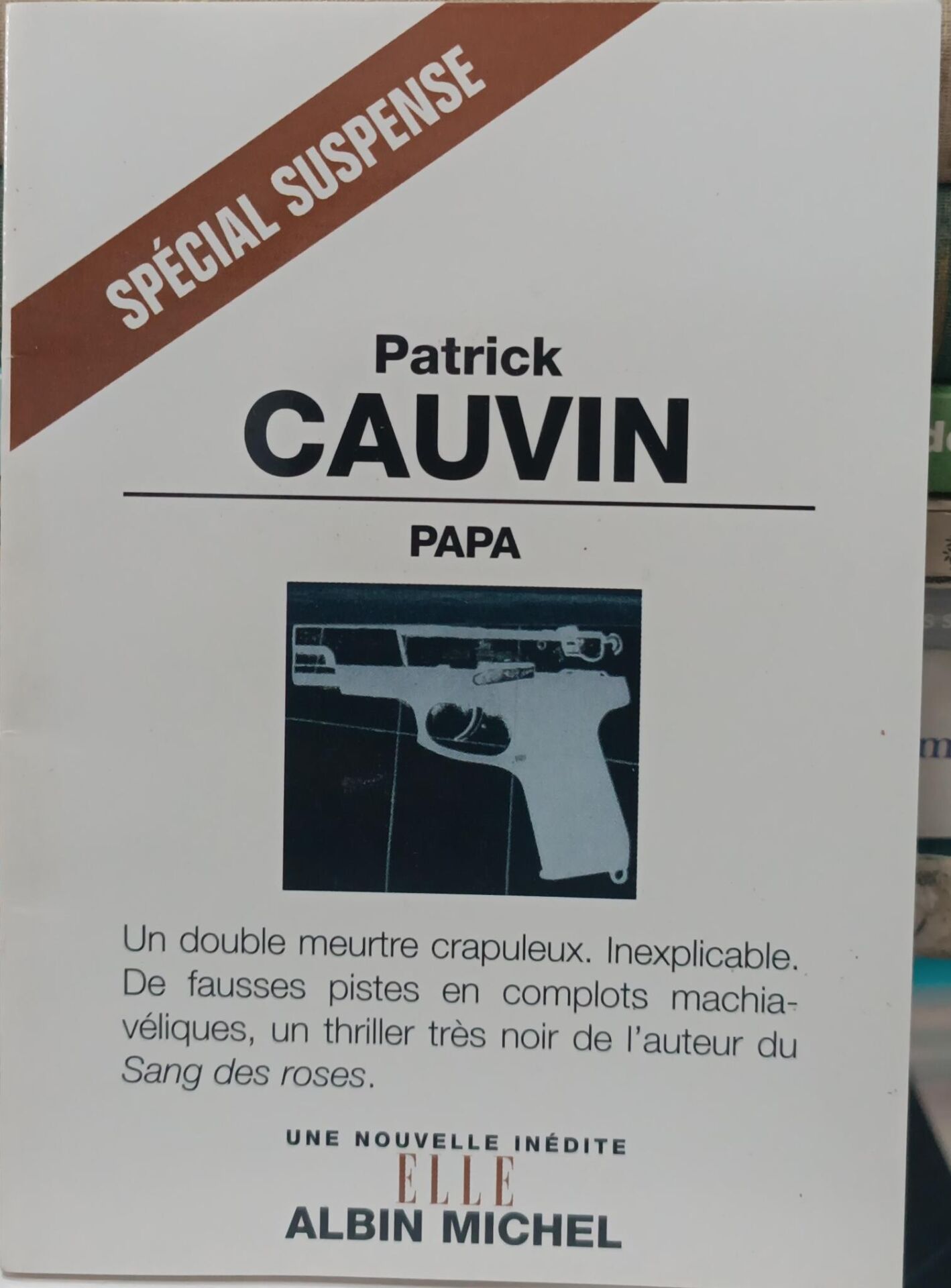 Patrick Cauvin - Papa
