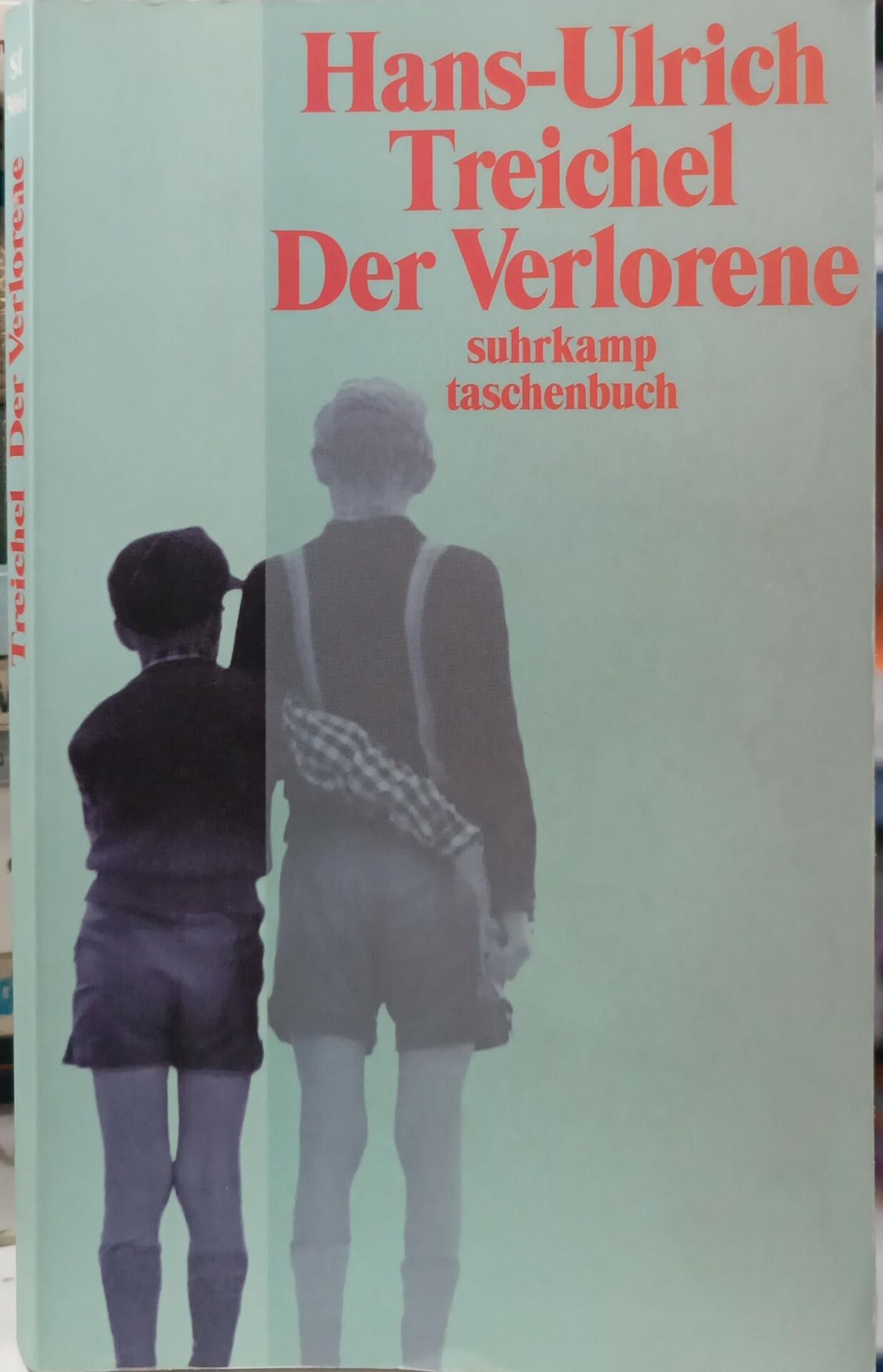 Der Verlorene - Hans-Ulrich Treichel