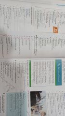 Wider World Workbook 1
