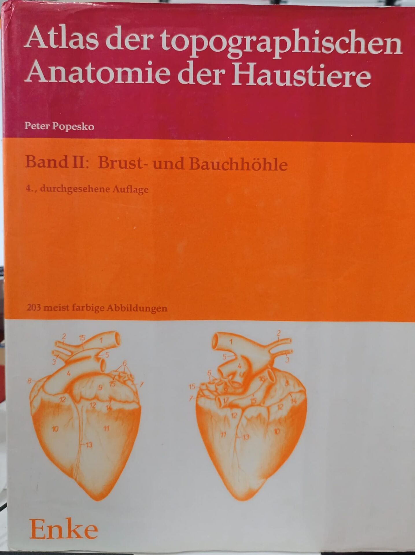 Atlas der topographischen Anatomie der Haustiere - Band 2 -  Peter Popesco