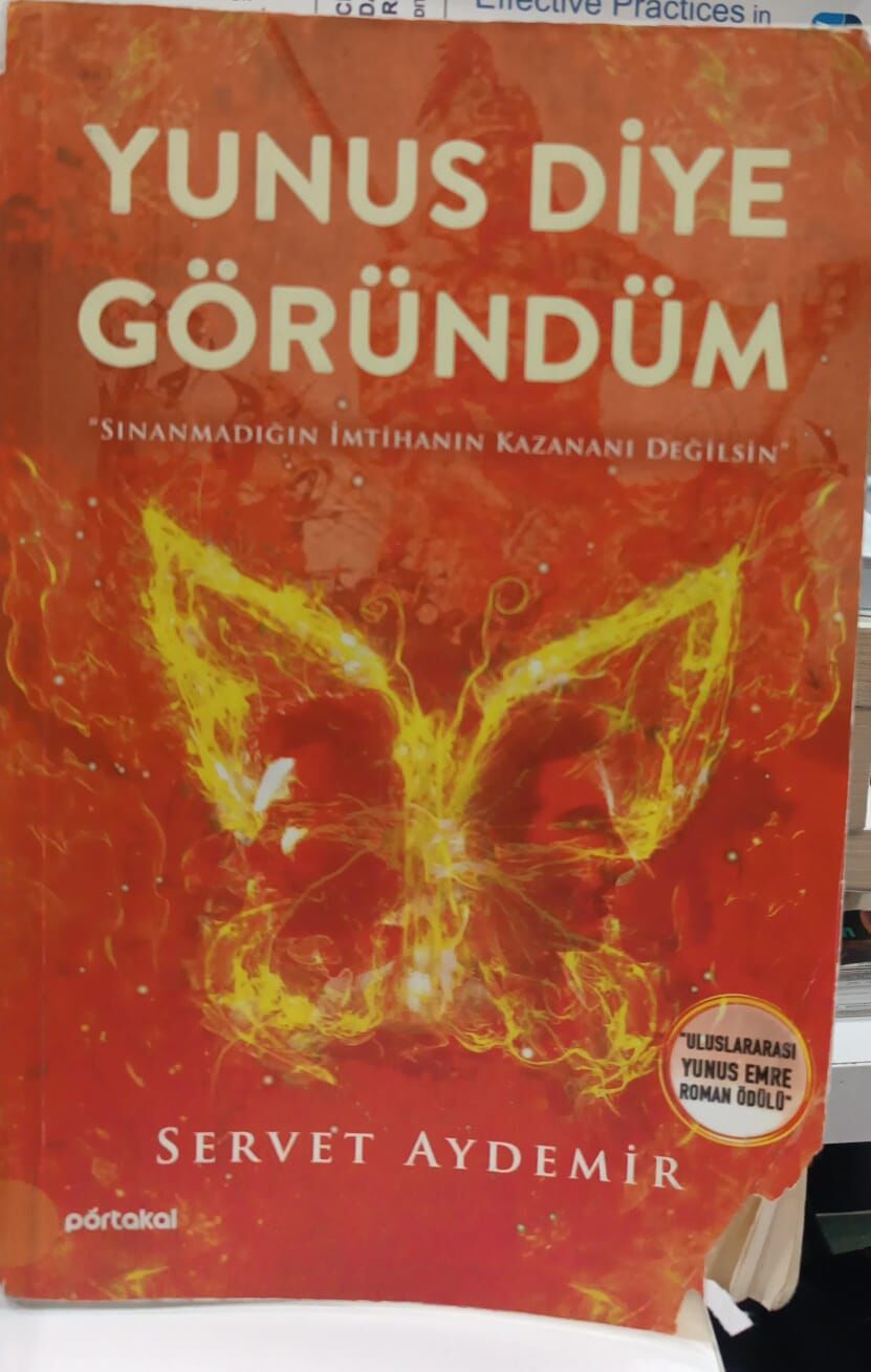 Yunus Diye Göründüm - Servet Aydemir