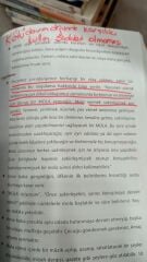 Dikkat Eksikliği Hiperaktivite Bozukluğu - Özlem Sürücü