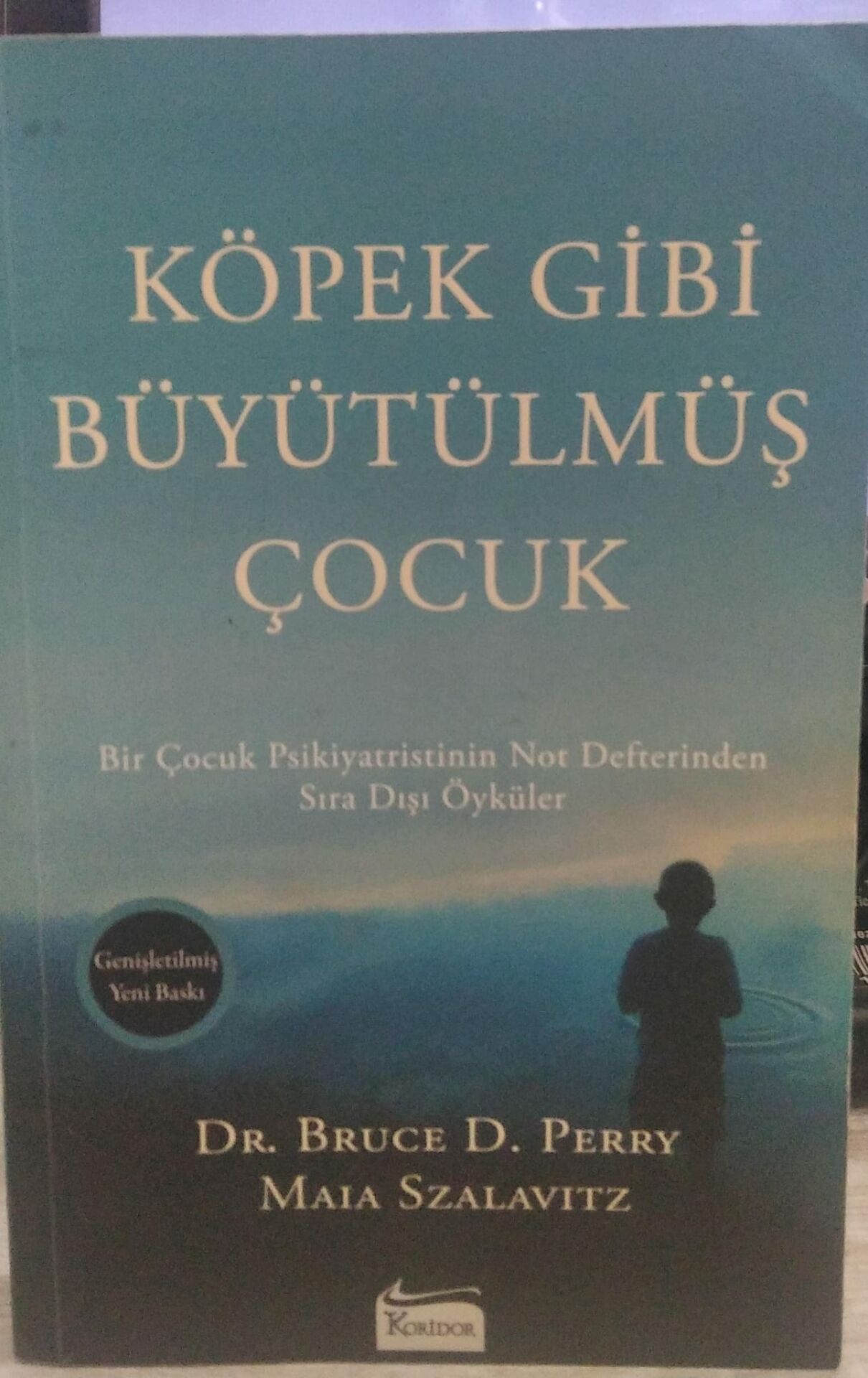 Köpek Gibi Büyütülmüş Çocuk - Bruce D. Perry, Maia Szalavitz