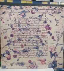 Purple Rain - Prince and the Revolution - Plak 1987