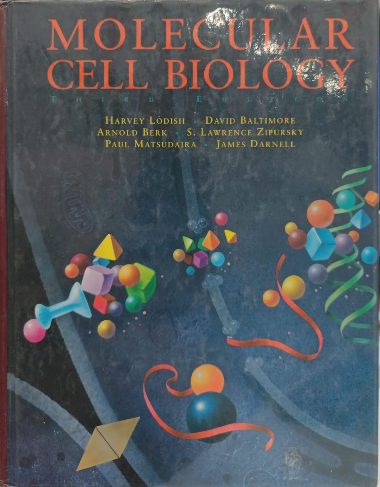 Molecular Cell Biology - Harvey Lodish