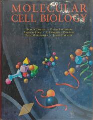 Molecular Cell Biology - Harvey Lodish