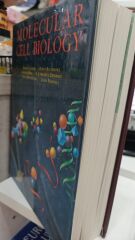 Molecular Cell Biology - Harvey Lodish
