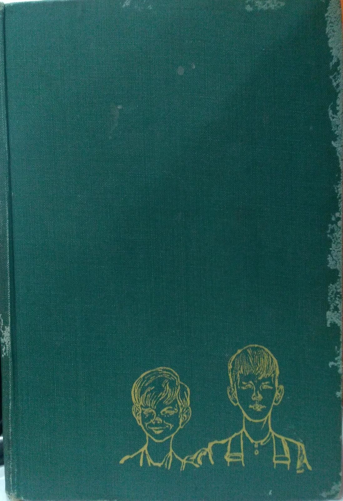 THE OWEN BOYS - By Hazel Wilson