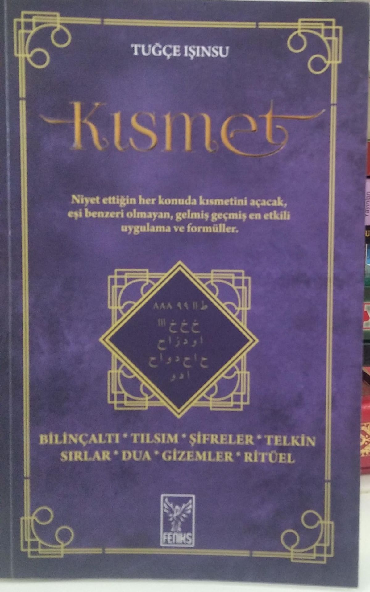 Kısmet - Tuğçe Işınsu