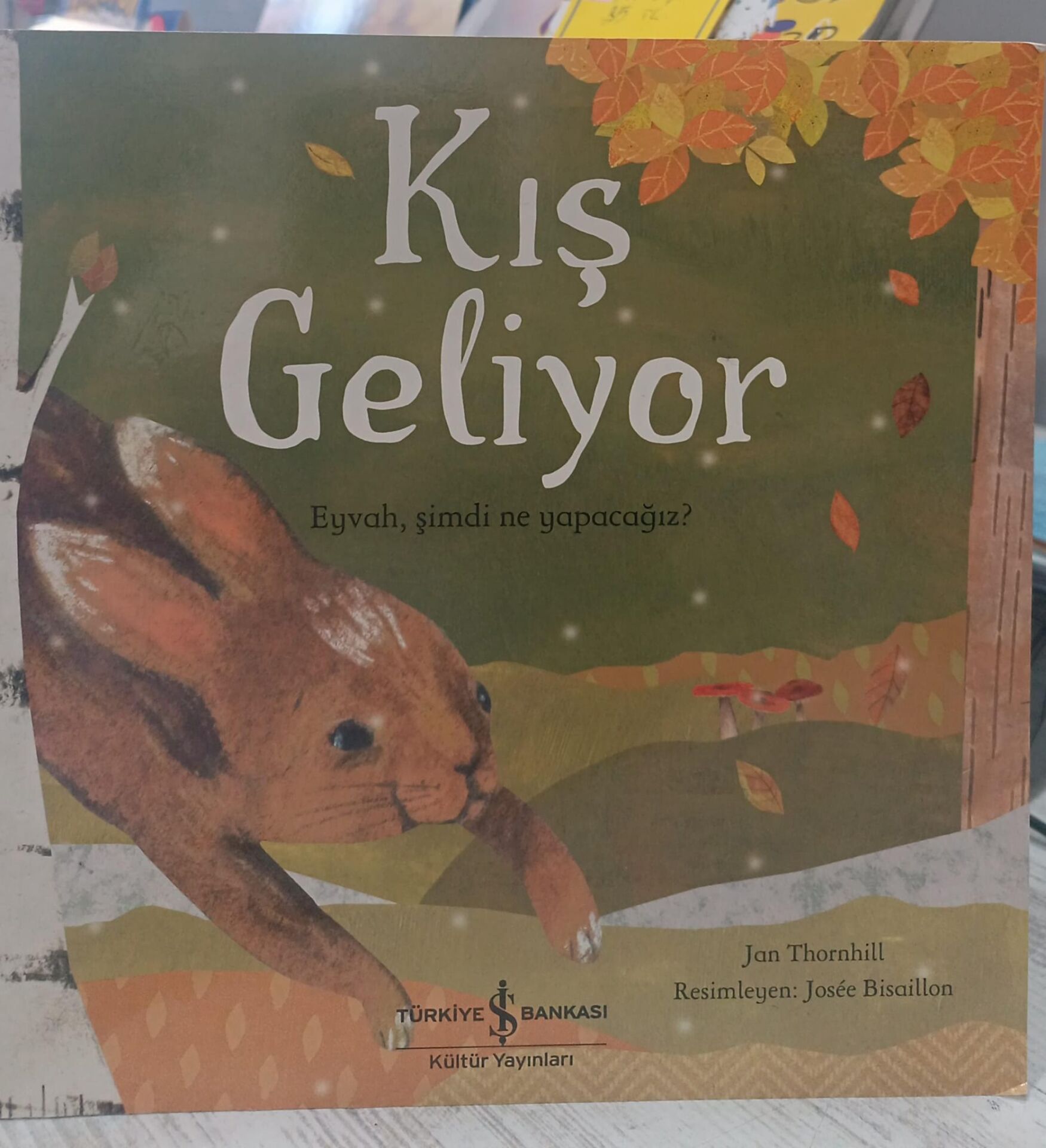 Kış Geliyor Eyvah Şimdi Ne Yapacağız? - Jan Thornhill