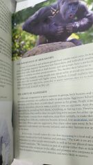 Pathways - Reading, Writing, and Critical Thinking 3 / 2.EL