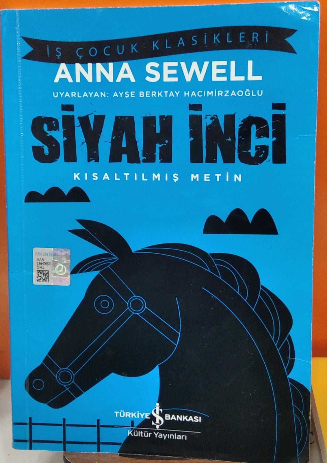 Siyah İnci - Türkiye İş Bankası Kültür Yayınları