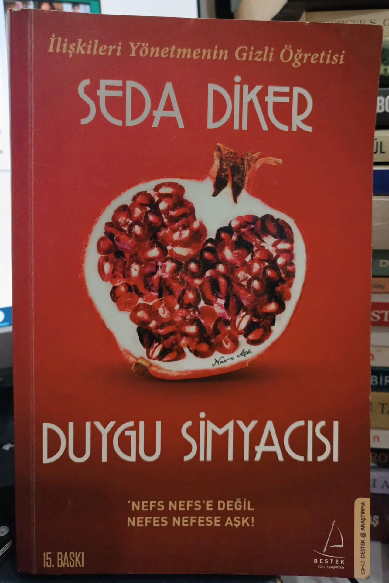 Duygu Simyacısı - Seda Diker