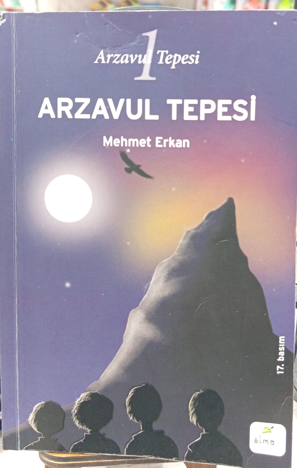 Arzavul Tepesi - Mehmet Erkan