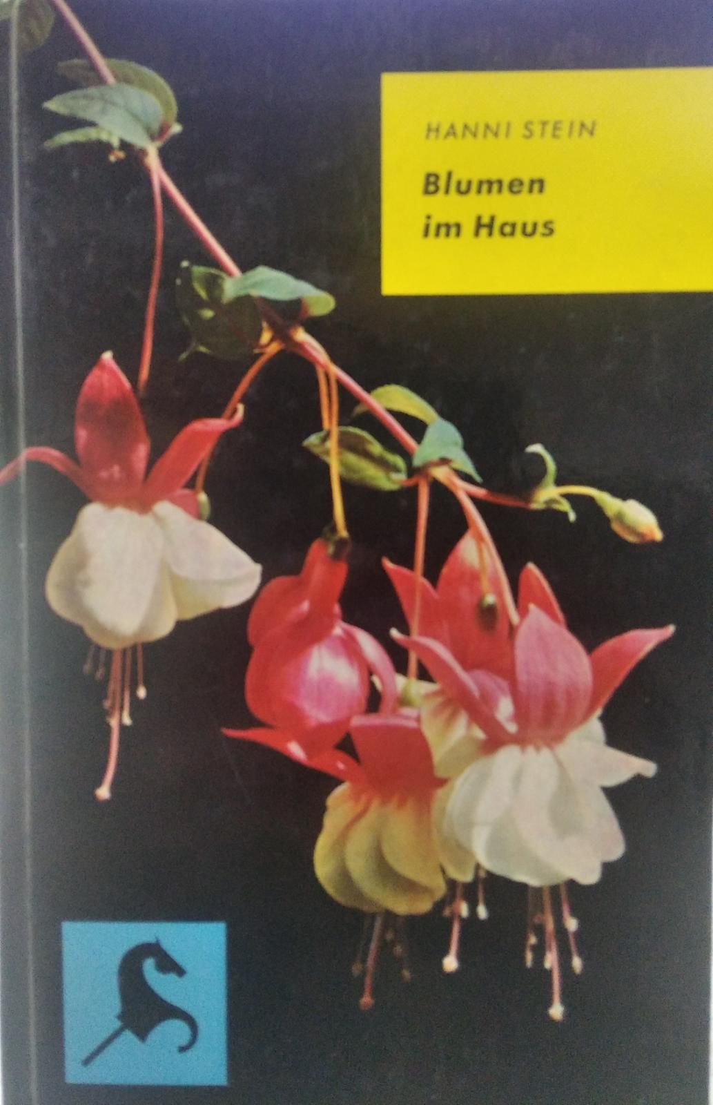 Blumen im Haus - HANNI STEIN
