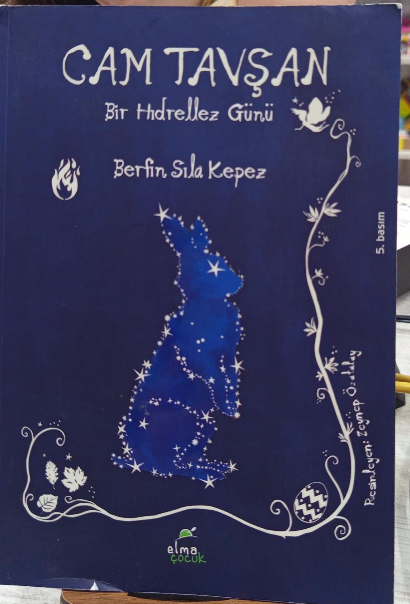 Cam Tavşan – Bir Hıdrellez Günü - Berfin Sıla Kepez