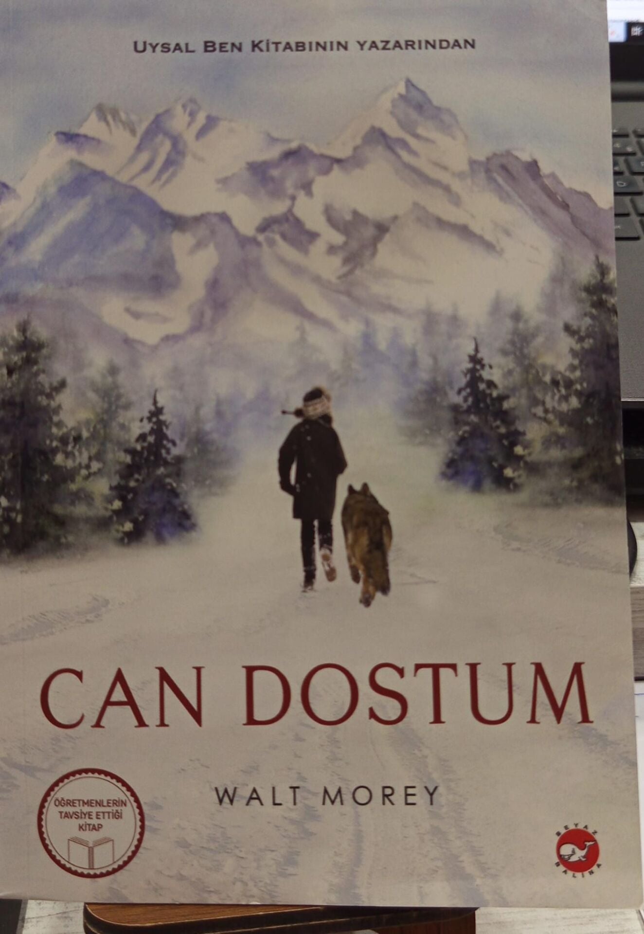 Can Dostum - Walt Morey