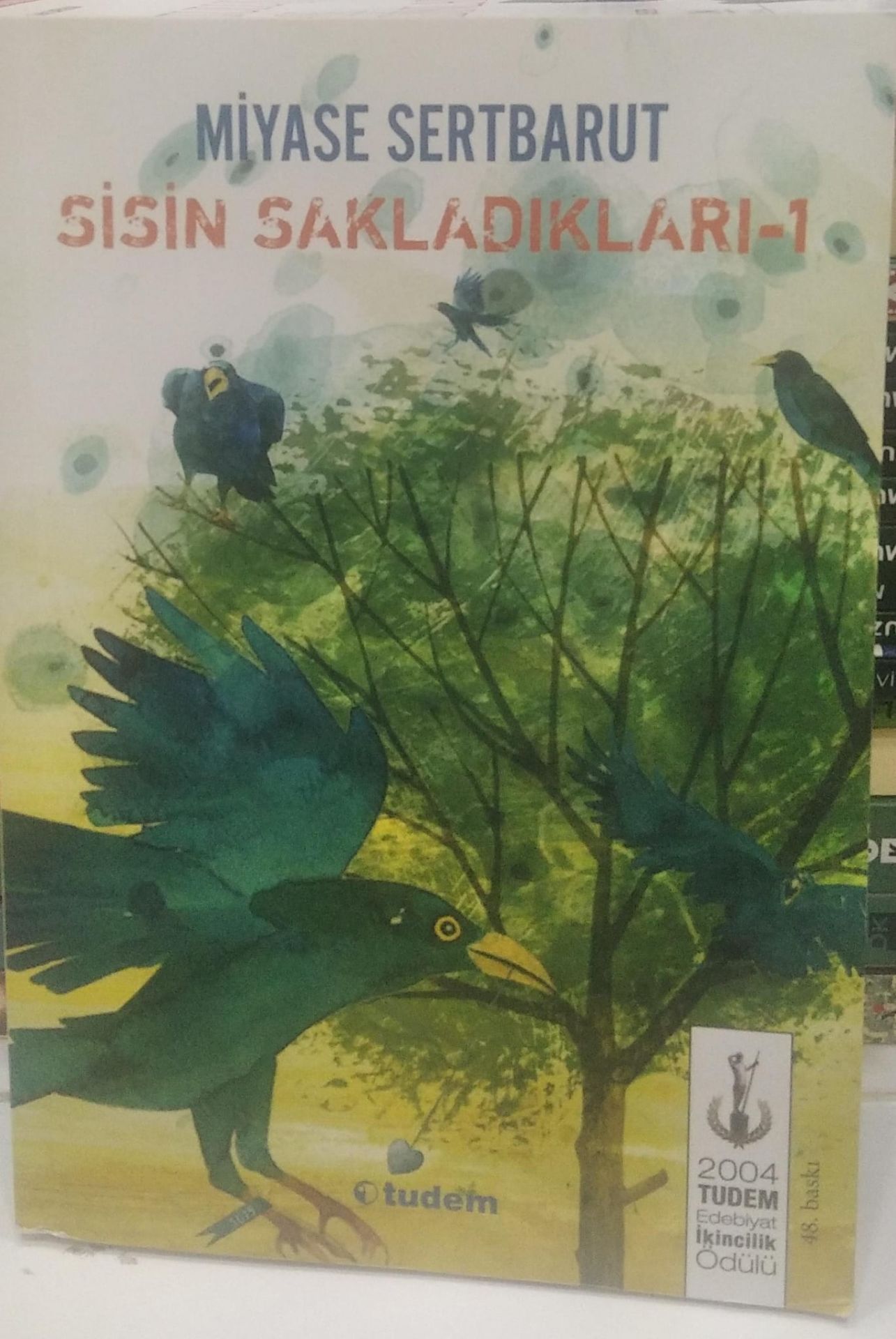 Sisin Sakladıkları - Miyase Sertbarut