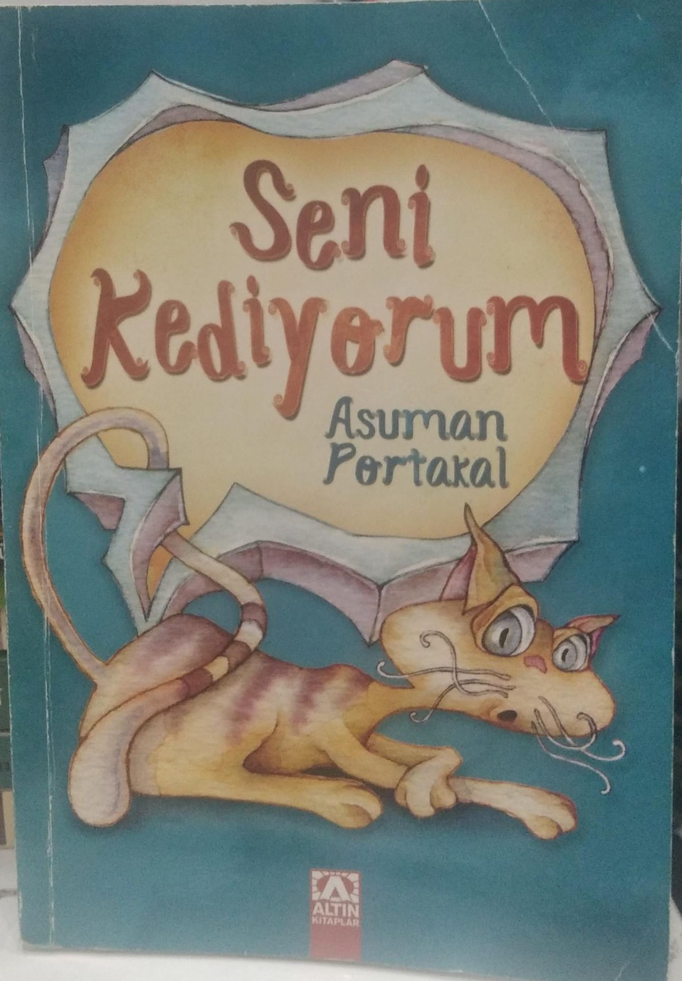 Seni Kediyorum - Asuman Portakal