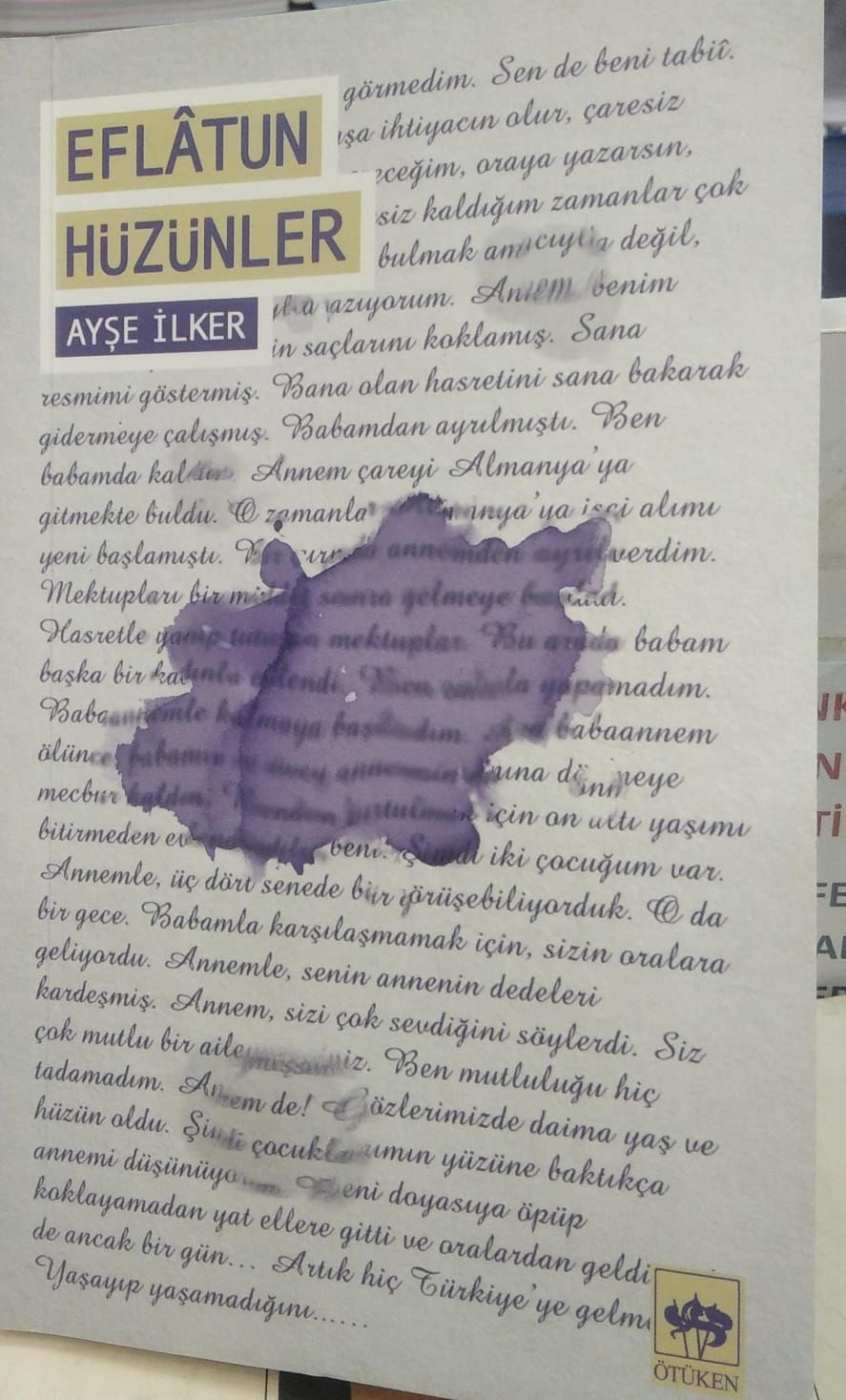 Eflatun Hüzünler - Ayşe İlker