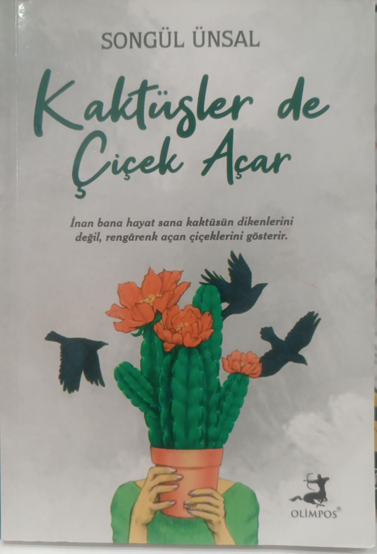 Kaktüsler de Çiçek Açar - Songül Ünsal