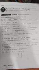 New Keystone B Workbook