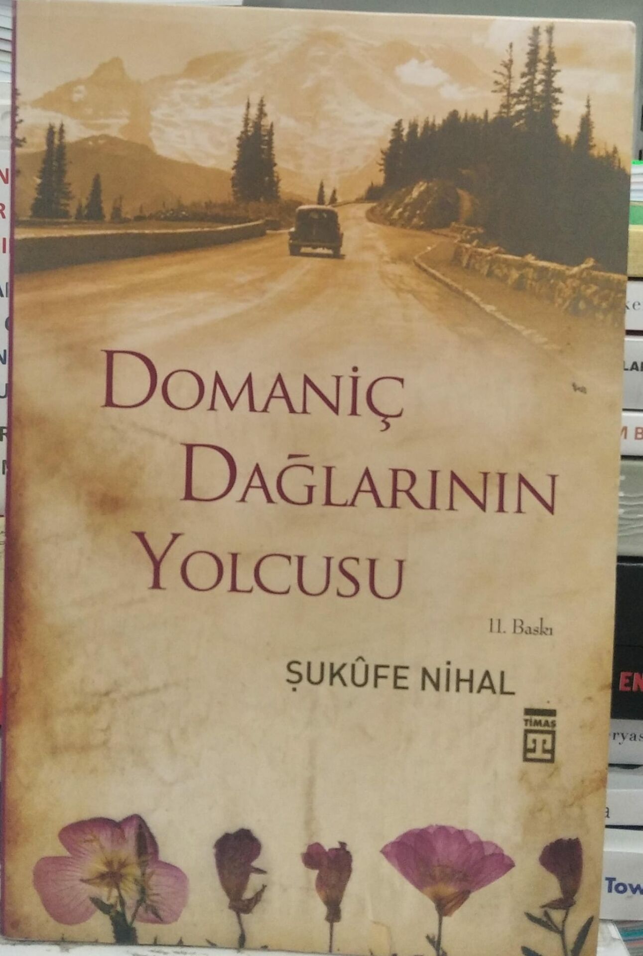 Domaniç Dağlarının Yolcusu - Şukufe Nihal